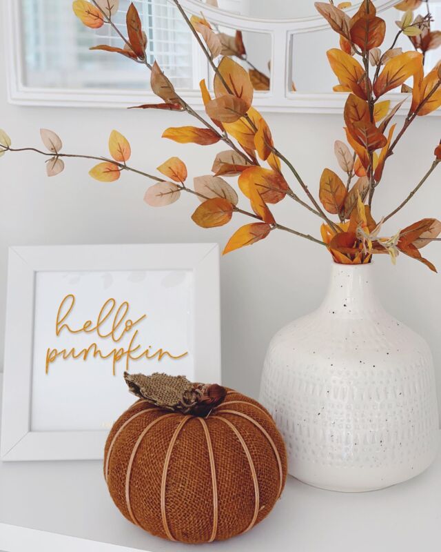 Decorating my house for fall today! What is your favorite place to buy decor?? 🎃
•
•
•
#fall2021 #pumpkins #hellopumpkin #calligrafriends #calligrapher #calligraphy #calligraphyart #calligraphycommunity #calligraphylove #handlettering #letteringart #handtype #ilovelettering #letteringartist #letteringco #letteringdesign #letteringdaily #moderncalligraphy #modernlettering #letteringlove #strengthinletters #togetherweletter #typematters #typespire #callipgraphydaily #falldecorations #pumpkinsforever #pumpkinsplease